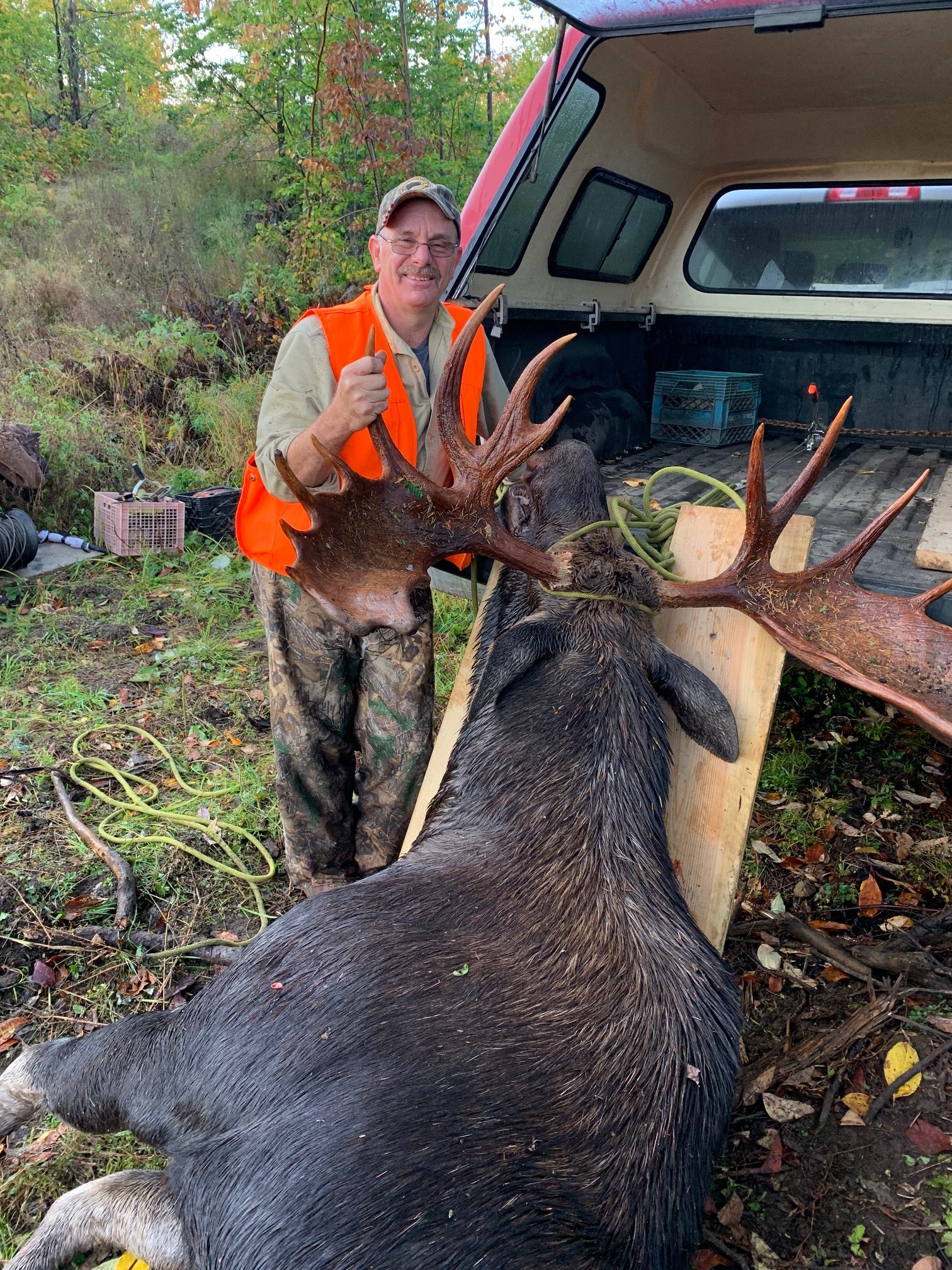 Moose Hunting Gallery – North Country Lodge
